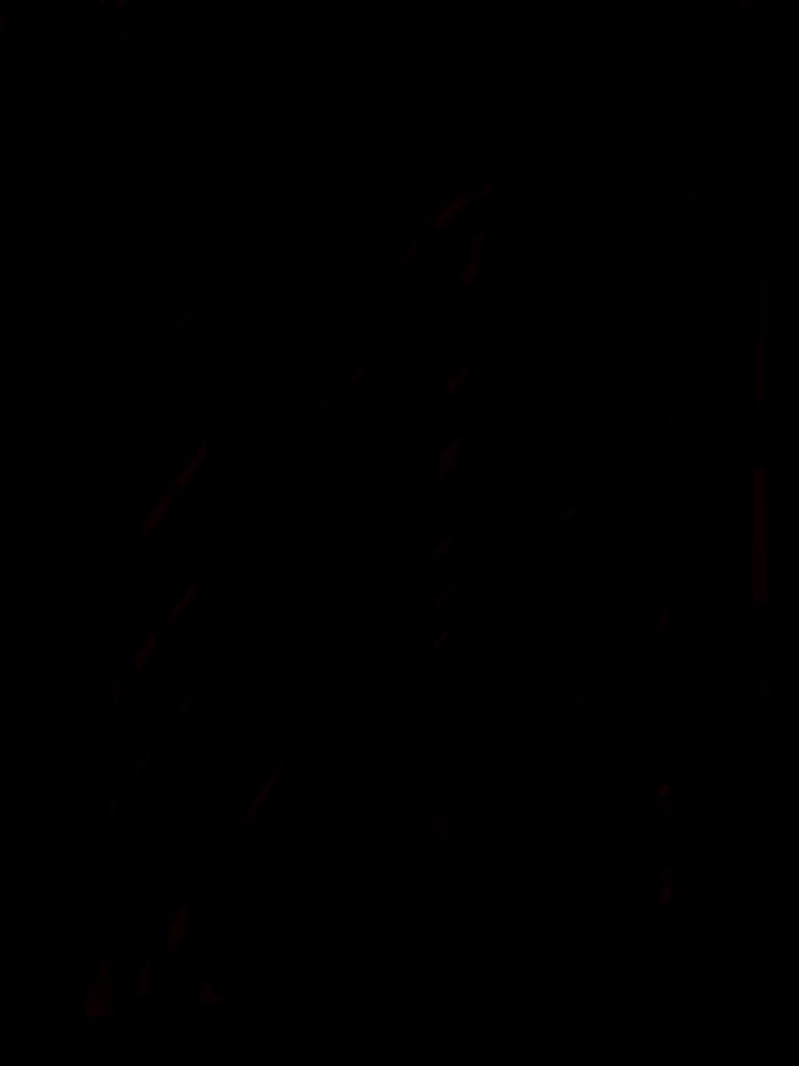 ZPPA 2026春夏 模特兒