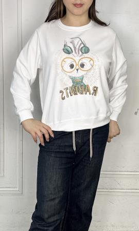 <div class="text-center"><a class="btn btn-primary" href="/GalleryImages/0fc80a23-62c5-4dde-ac1c-3602ec72237b.jpeg" target="_blank" style="margin:"  >Download Image</a></div>